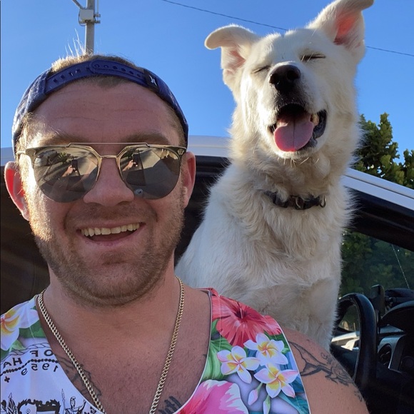 Meet your Posher, Vinnie - Picture 2 of 8